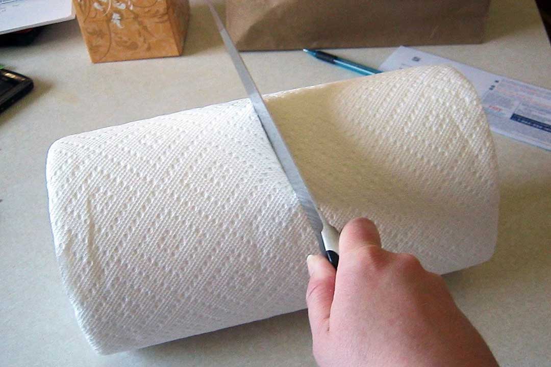Cut the paper towel in half with a knife