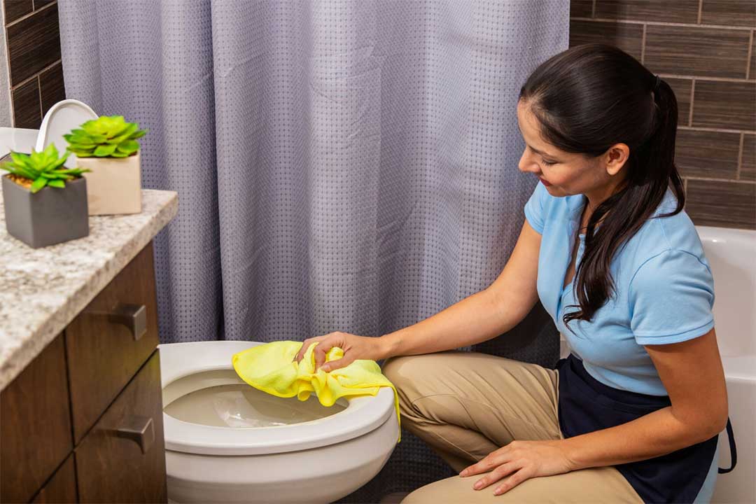 You can use bathroom cleaning wipes to wipe your toilet